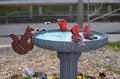 Kids_DFWzoo_3-2016 (59)